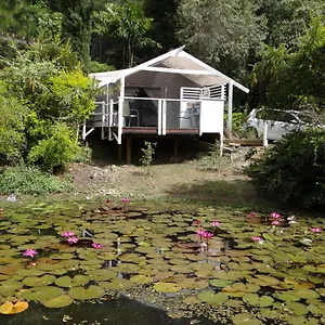 Bed & Breakfast Yacht Club