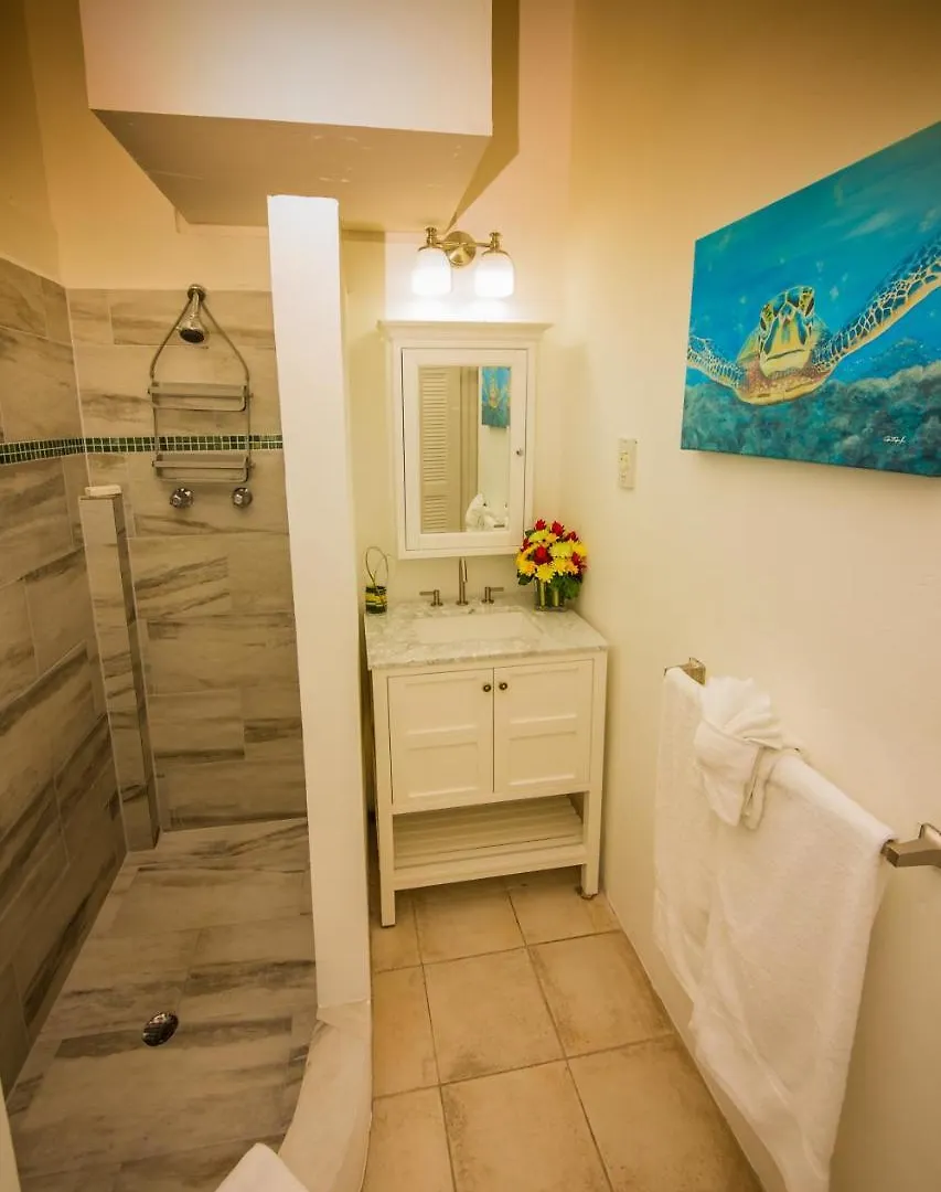 *** Semesteranläggning (resort) Oasis Marigot Hotell Saint Lucia